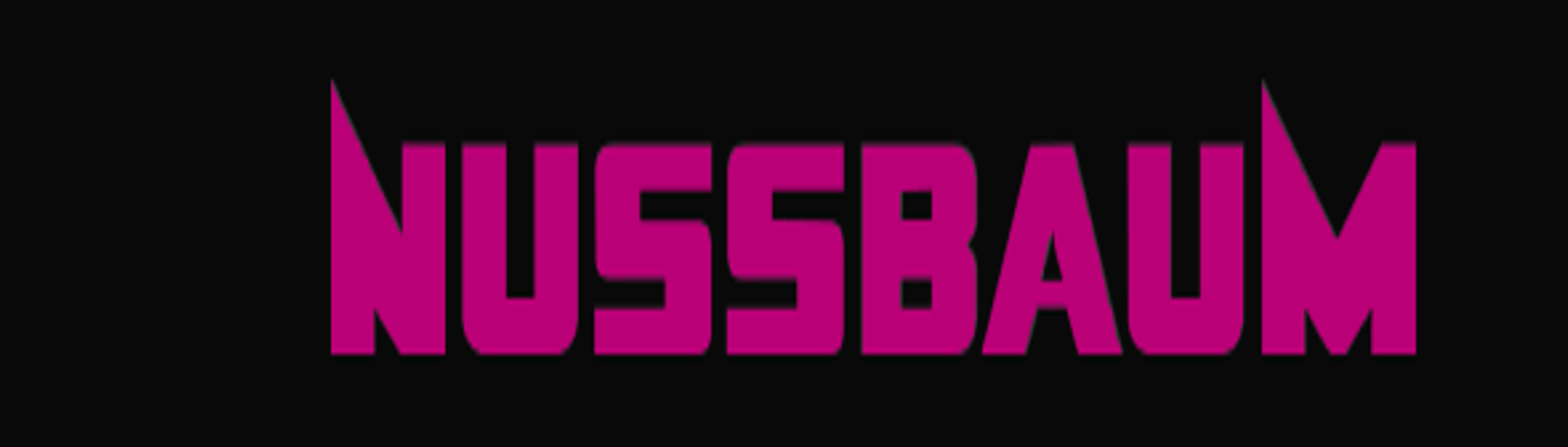 Logo Nussbaum Reisen Omnibus GmbH & Co. KG Logo Nussbaum Reisen Omnibus GmbH & Co. KG