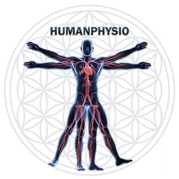 Humanphysio Zentrum GmbH Aarburg in Aarburg