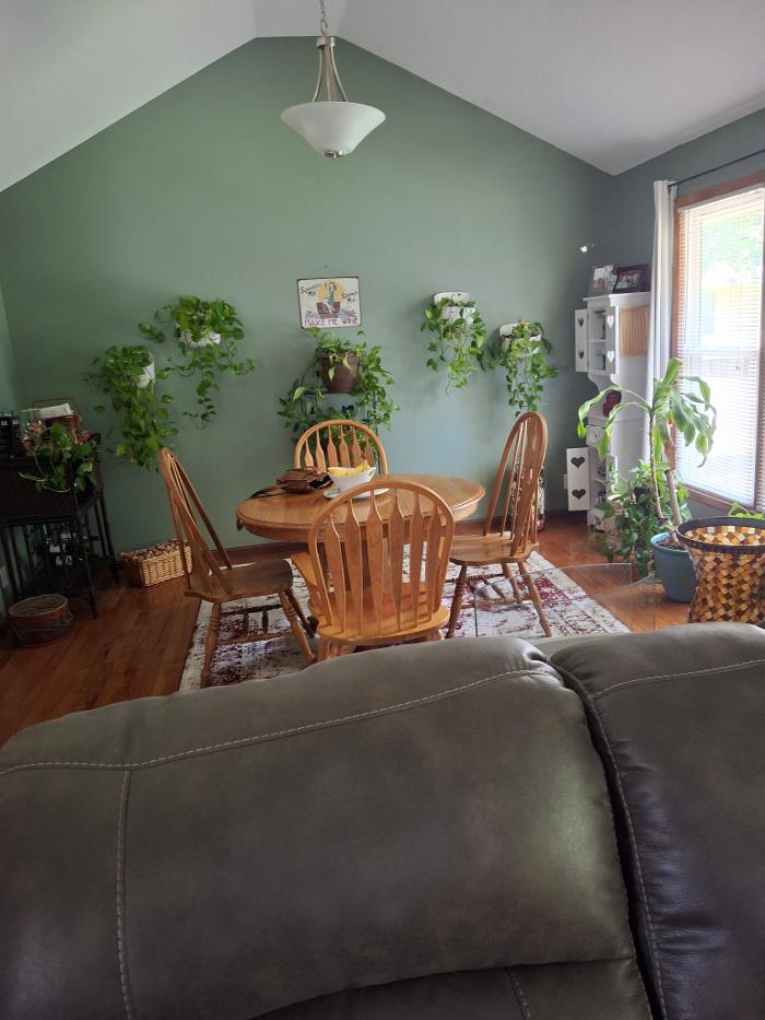 Birds of a Feather Home Concepts and Design Image