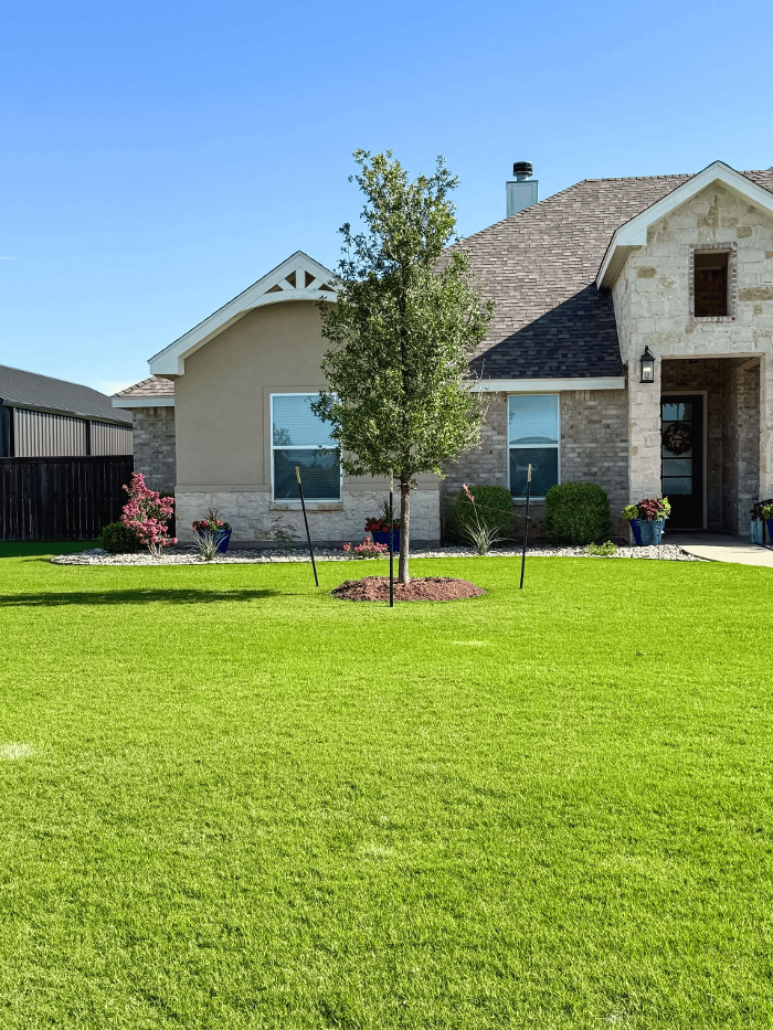 Arteriors Landscape Image