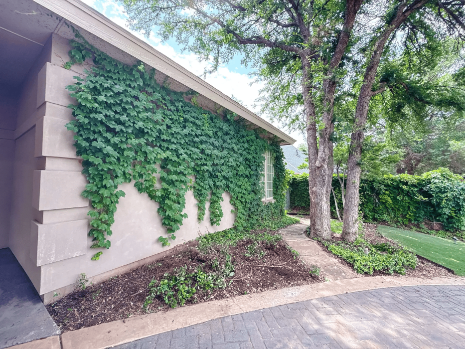 Arteriors Landscape Image