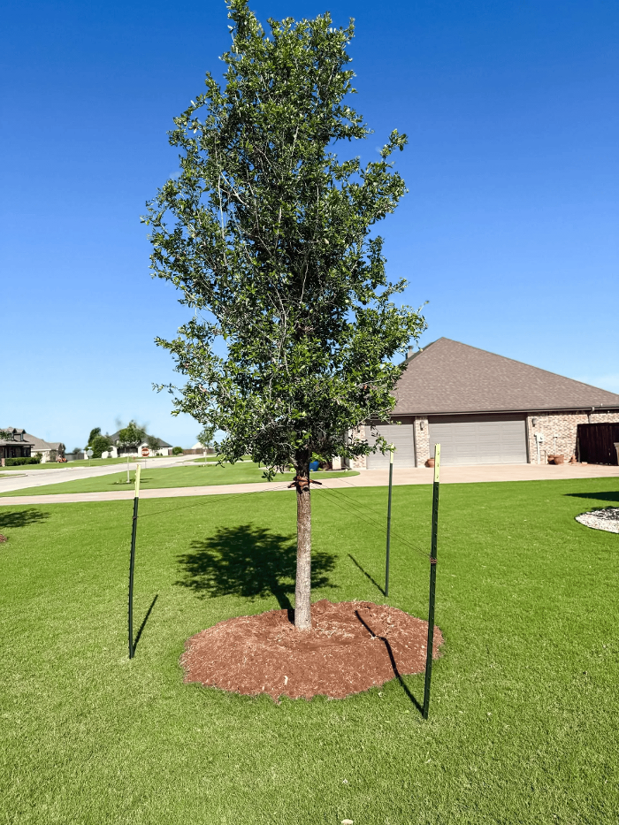 Arteriors Landscape Image