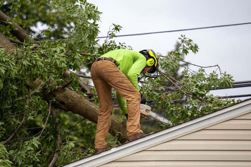 Tip Top Timber Co. - Armada, MI