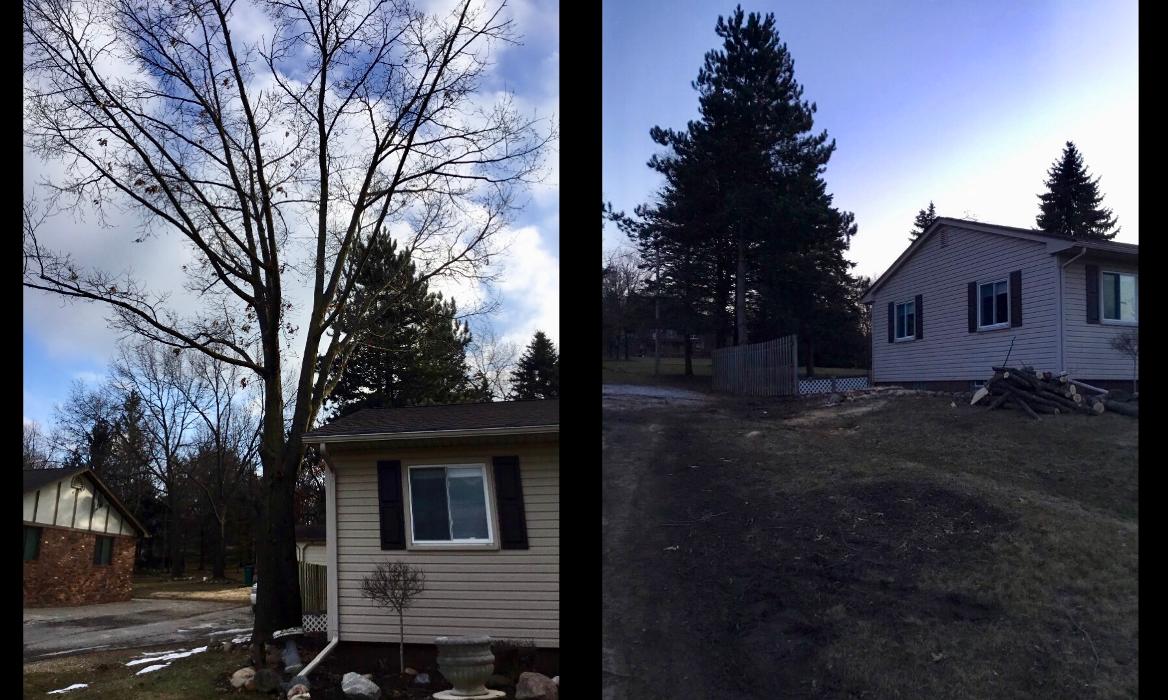 Tip Top Timber Co. - Armada, MI