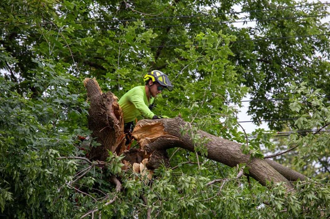 Tip Top Timber Co. - Armada, MI