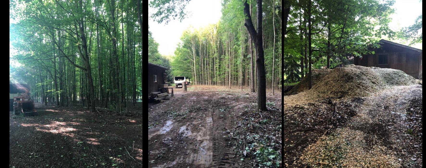 Tip Top Timber Co. - Armada, MI