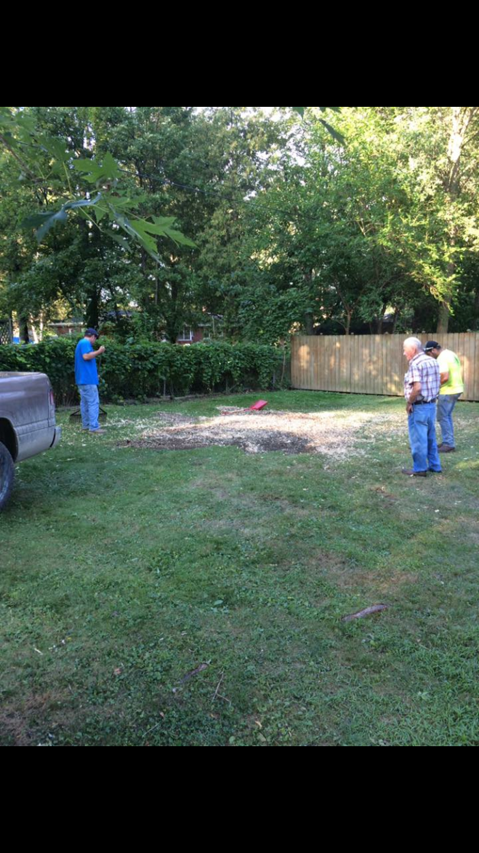 Tip Top Timber Co. - Armada, MI