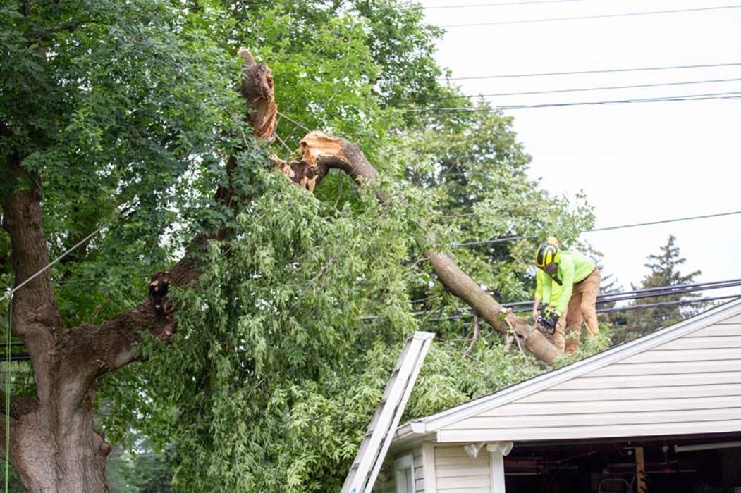 Tip Top Timber Co. - Armada, MI