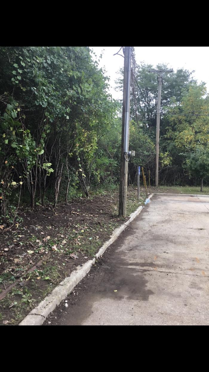 Tip Top Timber Co. - Armada, MI