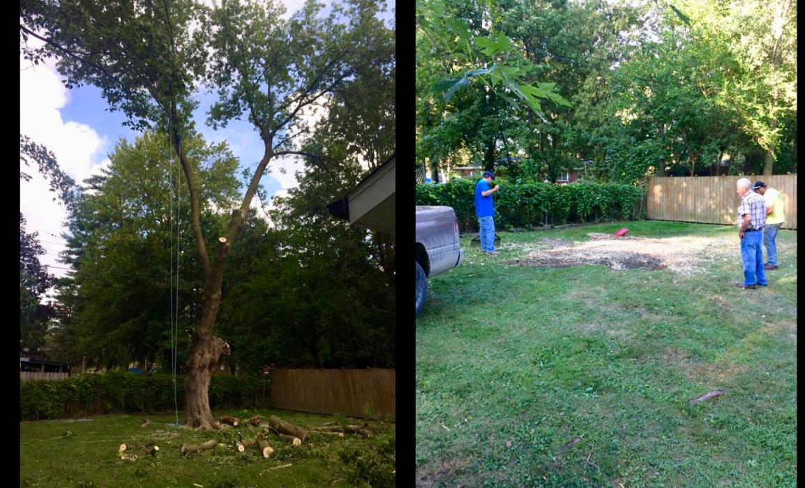 Tip Top Timber Co. - Armada, MI