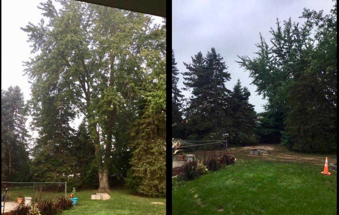 Tip Top Timber Co. - Armada, MI