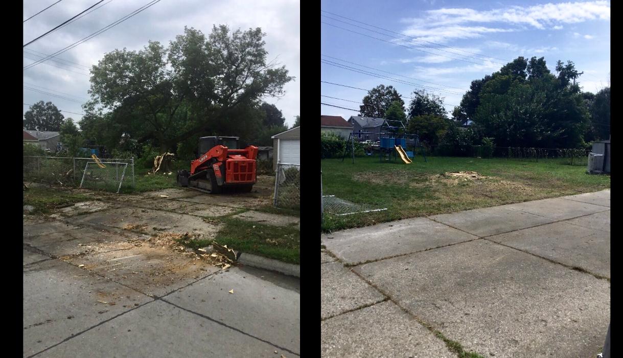 Tip Top Timber Co. - Armada, MI