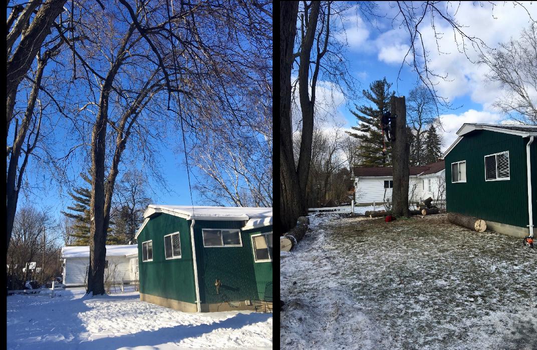 Tip Top Timber Co. - Armada, MI