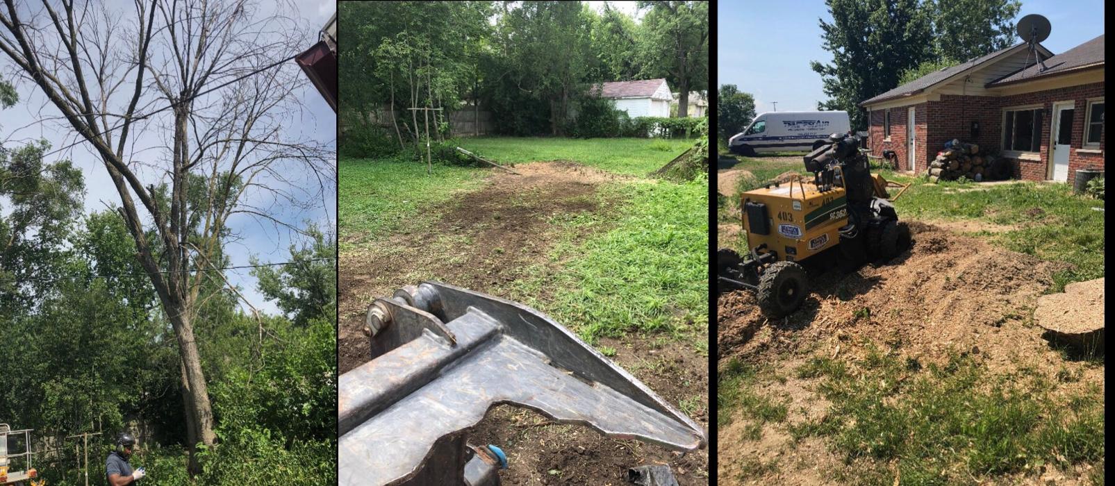 Tip Top Timber Co. - Armada, MI