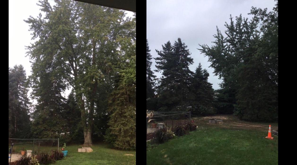 Tip Top Timber Co. - Armada, MI