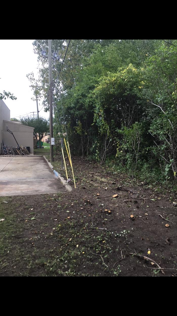 Tip Top Timber Co. - Armada, MI