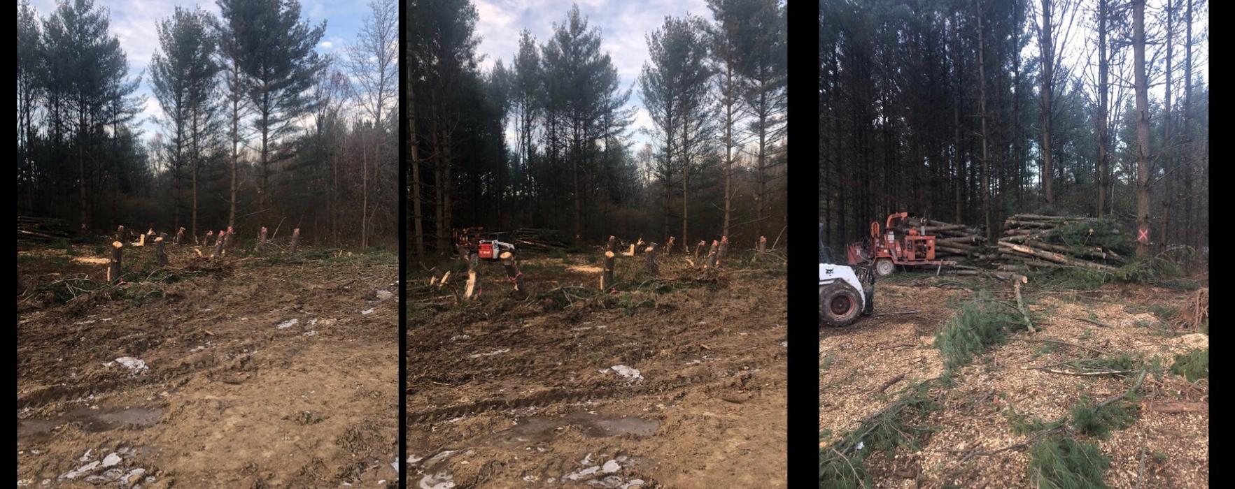 Tip Top Timber Co. - Armada, MI