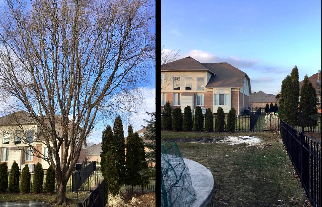 Tip Top Timber Co. - Armada, MI