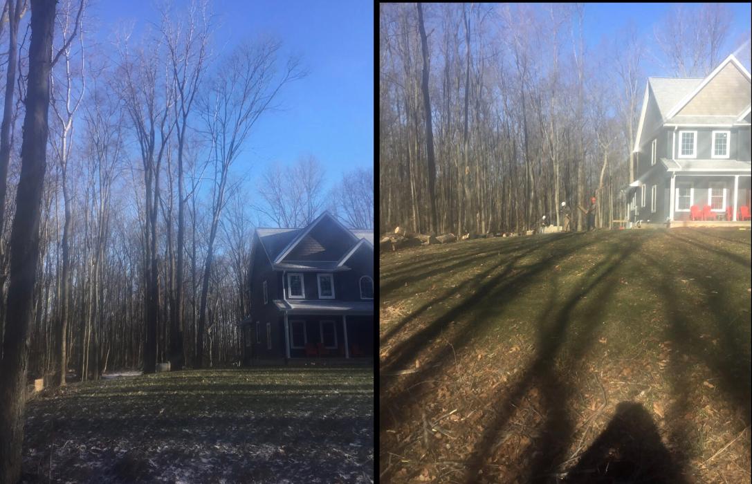 Tip Top Timber Co. - Armada, MI