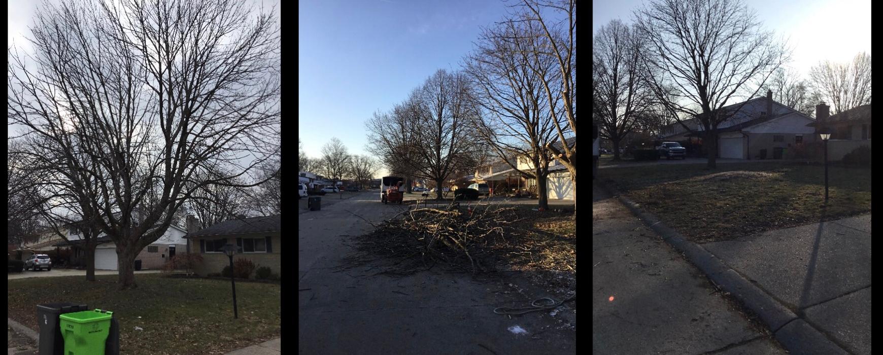 Tip Top Timber Co. - Armada, MI