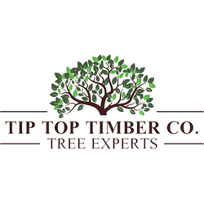 Tip Top Timber Co. - Armada, MI