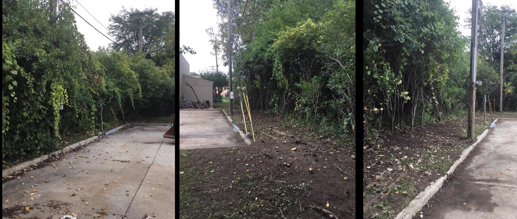 Tip Top Timber Co. - Armada, MI