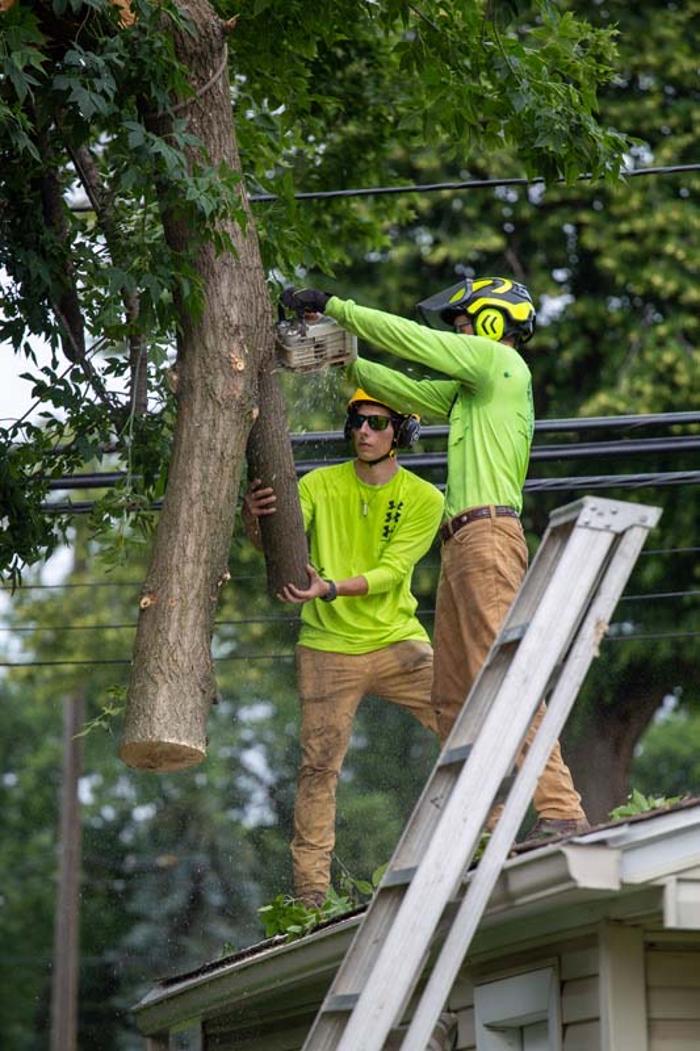 Tip Top Timber Co. - Armada, MI