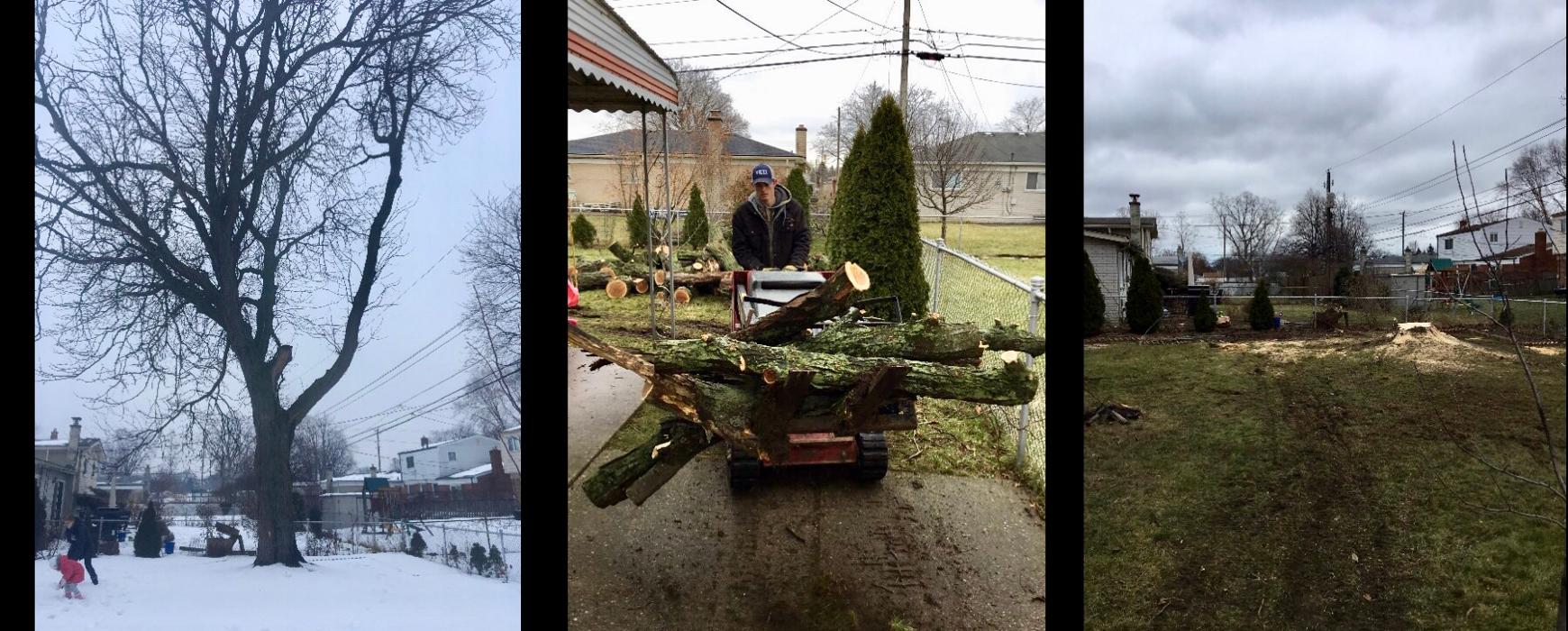 Tip Top Timber Co. - Armada, MI