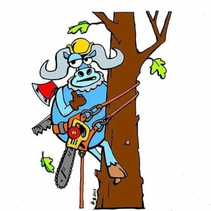 Blue Ox Tree Service of NEPA