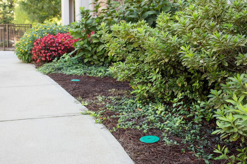 Franklin Pest Solutions - Michigan City, IN