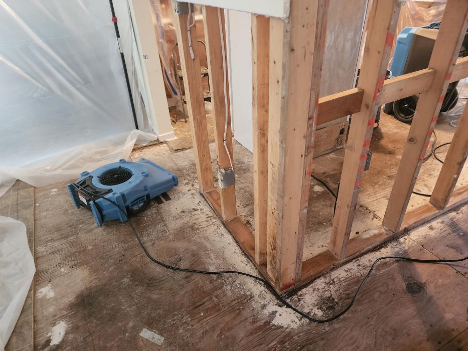 Dryworx Water Damage Restoration - Vancouver, WA