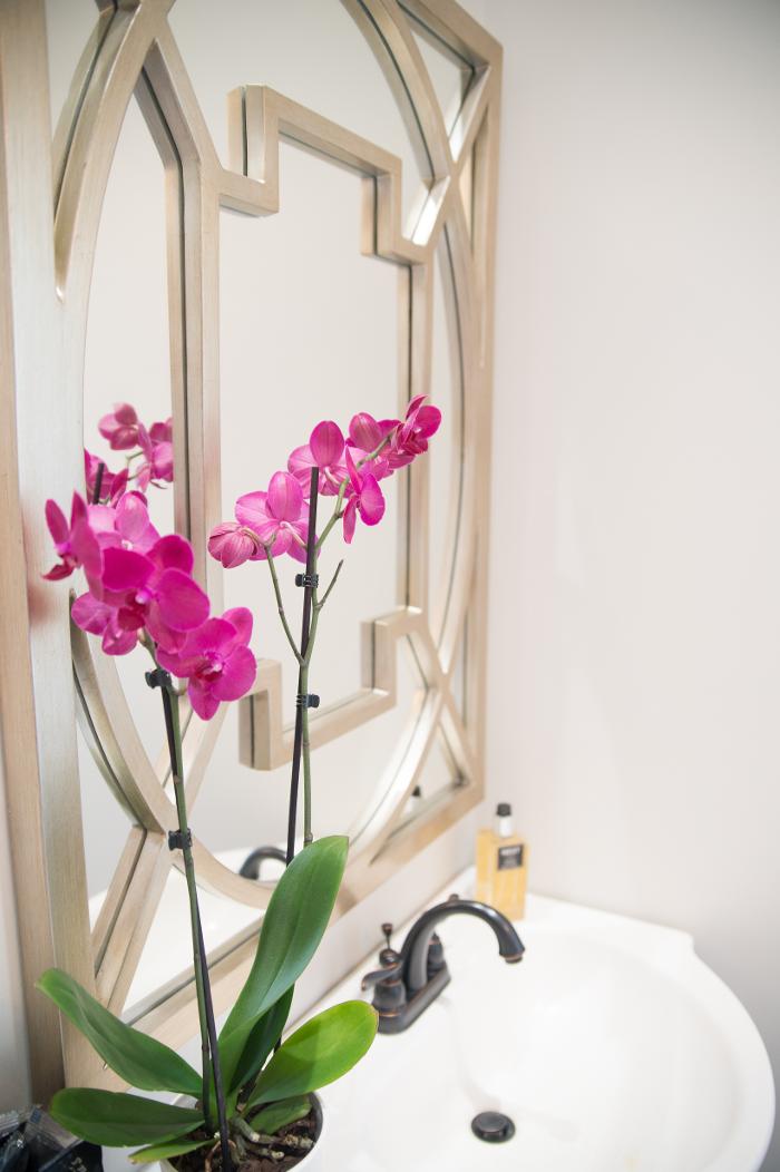 Curate MedAesthetics - Ooltewah, TN