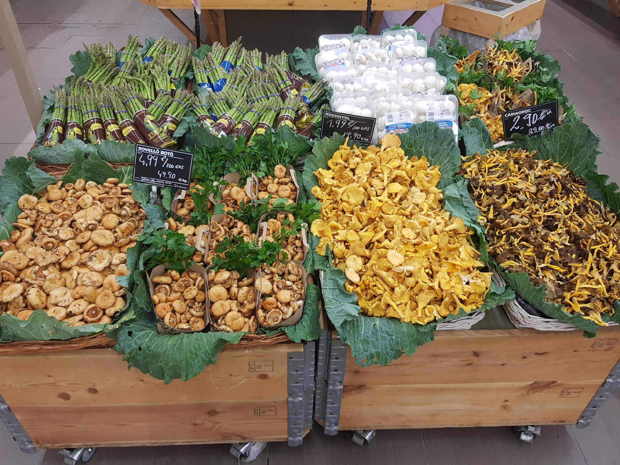 Galería en miniatura