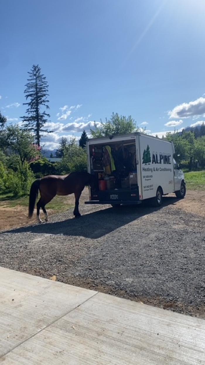 Alpine Heating & Air Conditioning Image