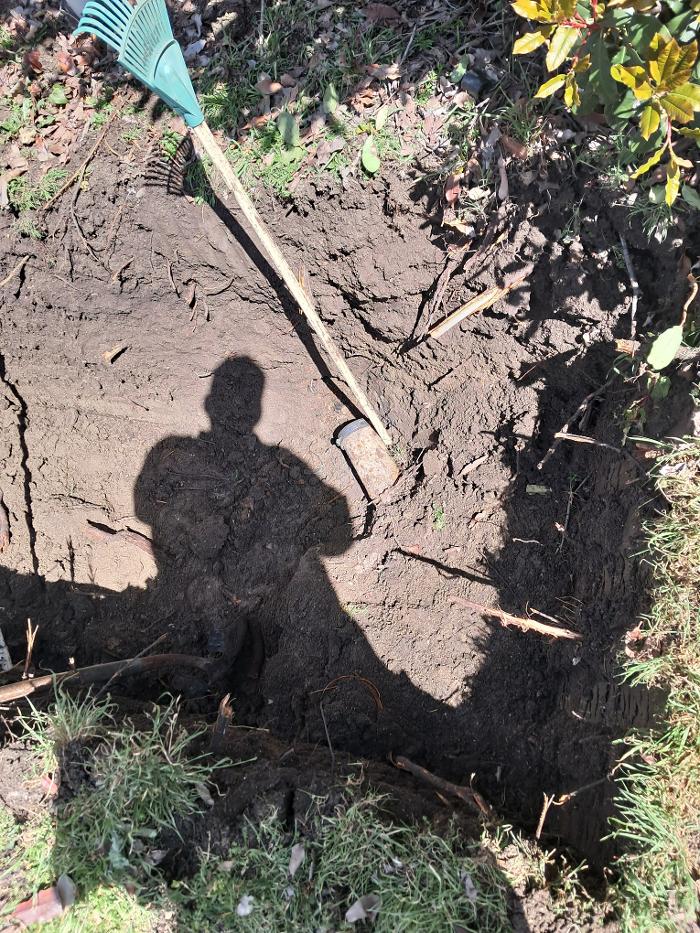 DFW Service Pros Image