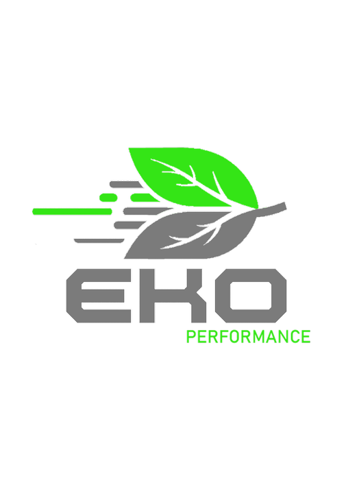Eko Performance tapis d'Orient et d'artisanat