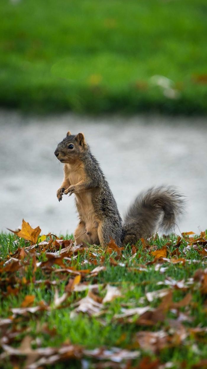 Cameron Park Country Club - Shingle Springs, CA