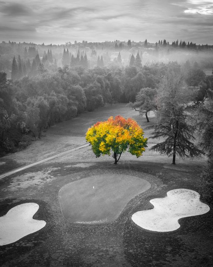 Cameron Park Country Club - Shingle Springs, CA