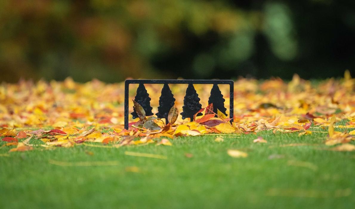 Cameron Park Country Club - Shingle Springs, CA