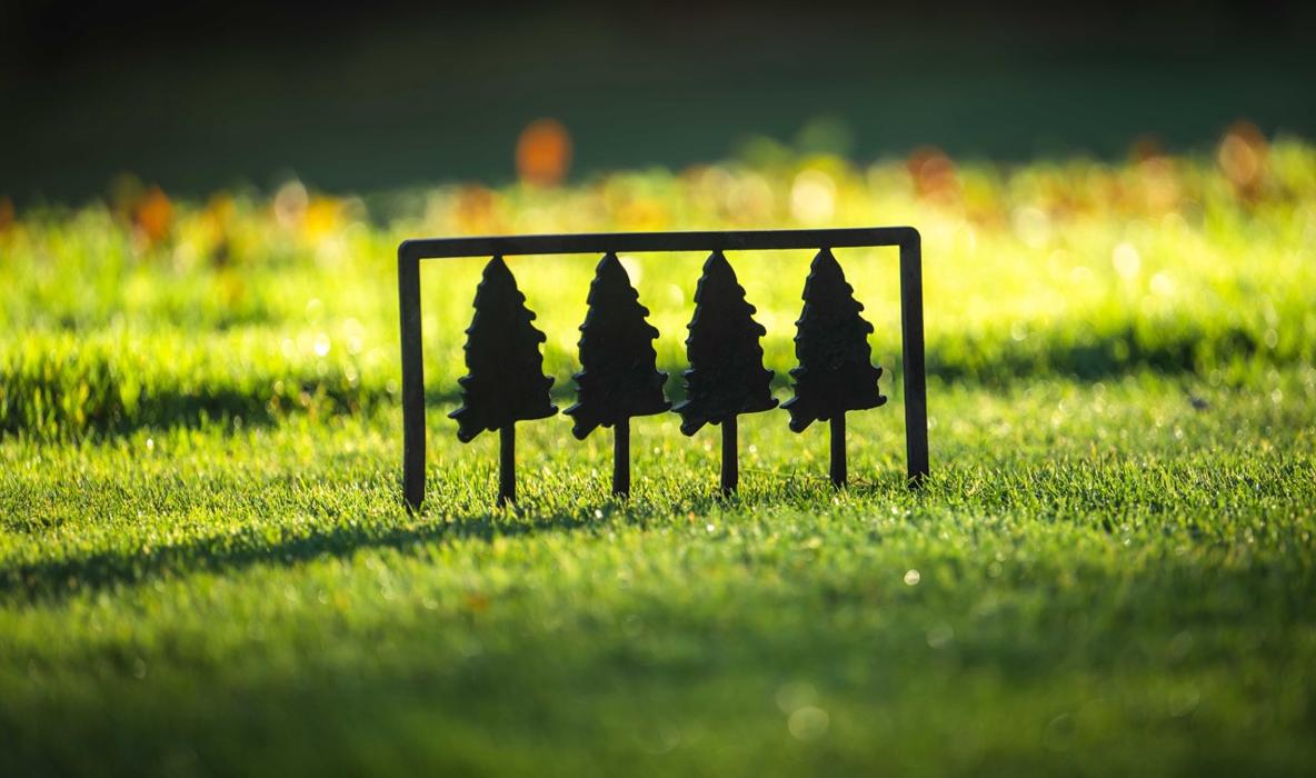 Cameron Park Country Club - Shingle Springs, CA