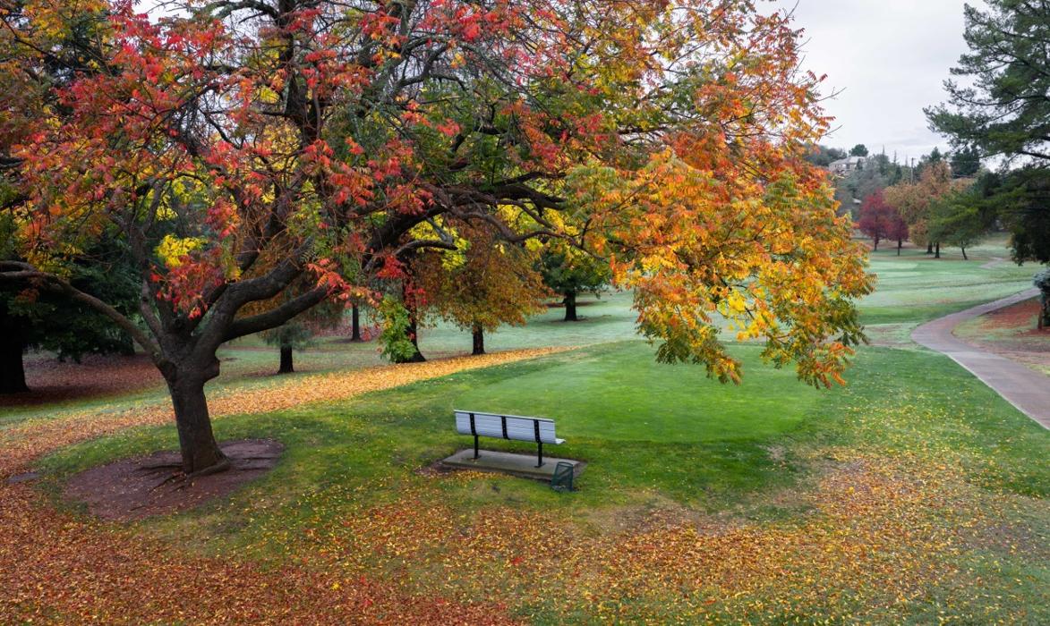 Cameron Park Country Club - Shingle Springs, CA