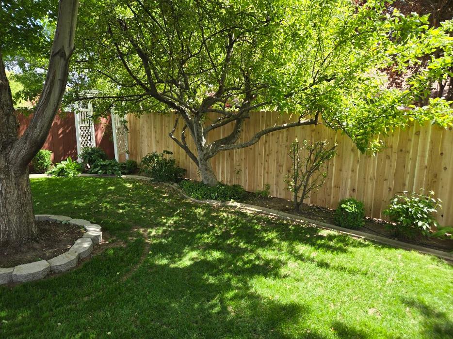 River City Tree Care Logo