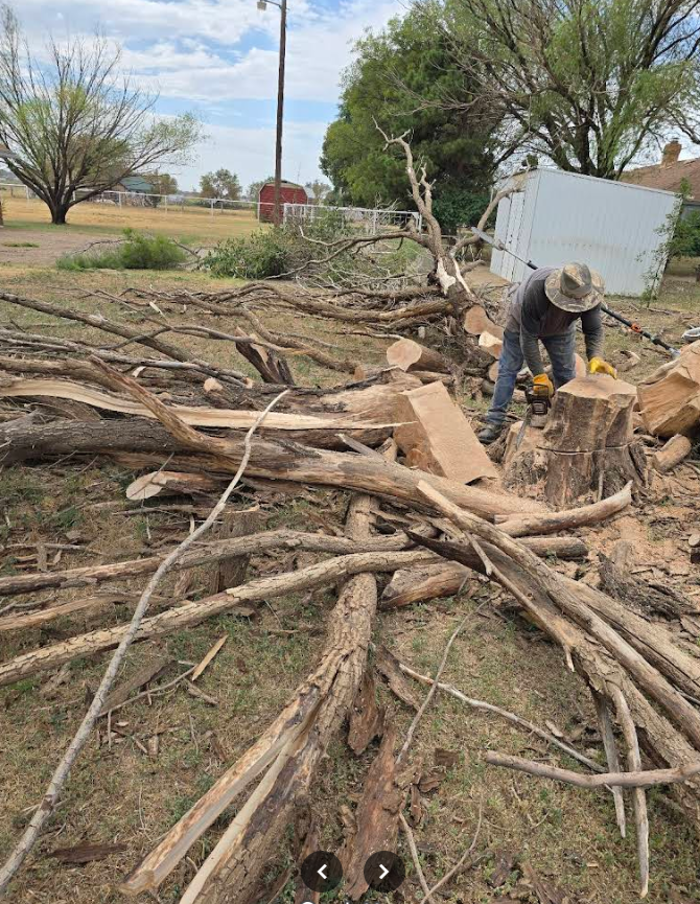 MTS Tree Services Texas - Lubbock, TX