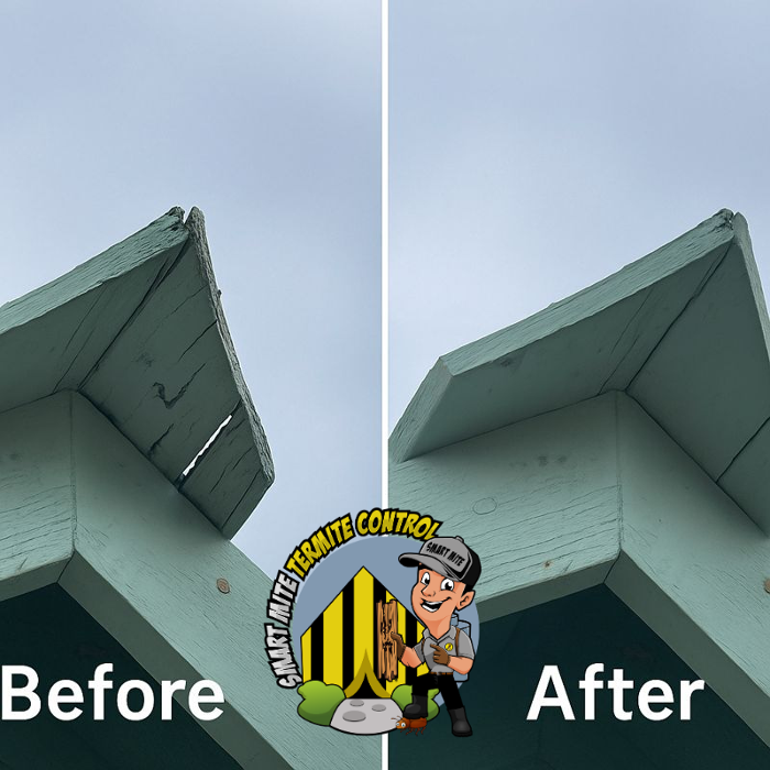 Smart Mite Inc. Image