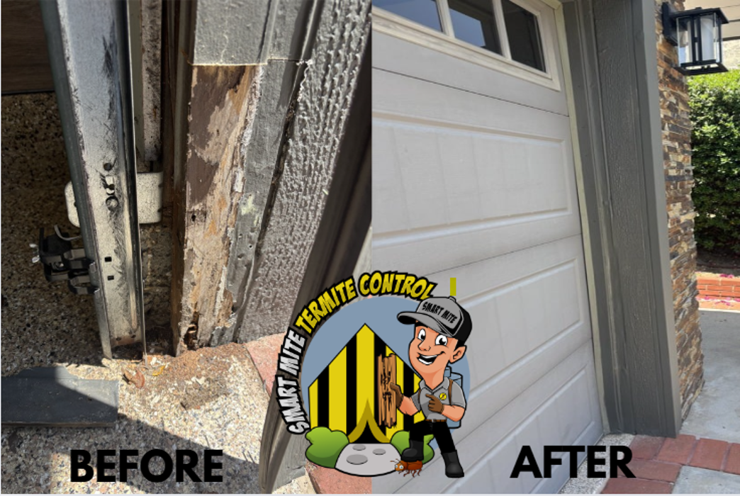 Smart Mite Inc. Image