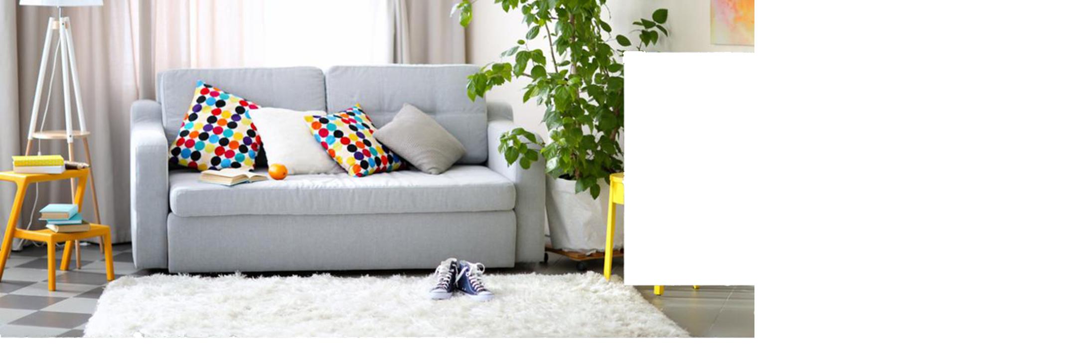 Sutherland Carpet and Upholstery Cleaning Image