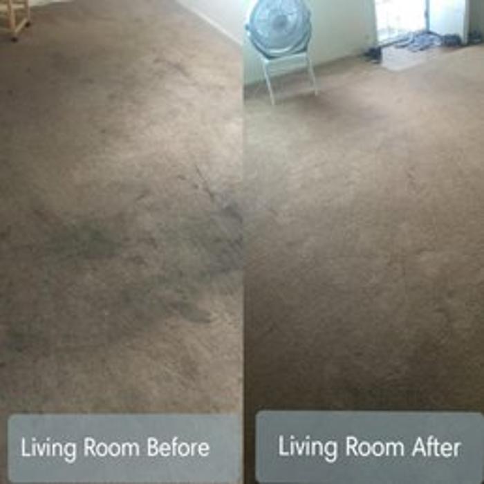 Sutherland Carpet and Upholstery Cleaning Image
