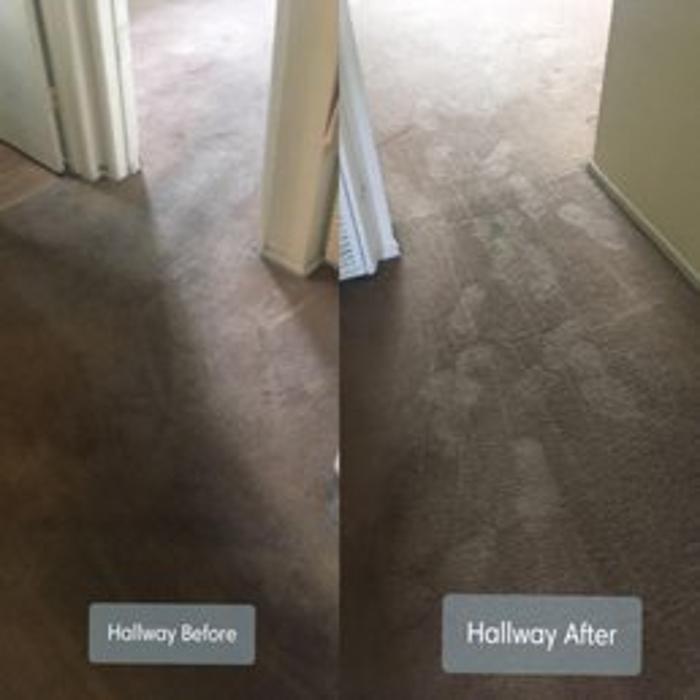 Sutherland Carpet and Upholstery Cleaning Image