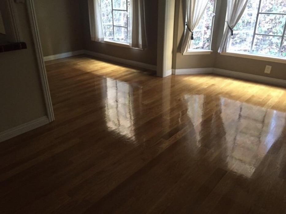 Sutherland Carpet and Upholstery Cleaning Image