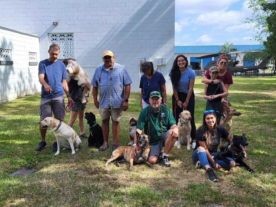 Good Dawg Dog Training - Saint Cloud, FL